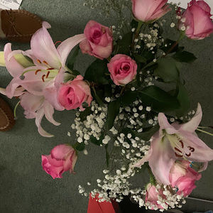 Meet your Posher, Karen lee